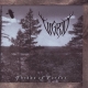 Vigrid - Throne Of Forest